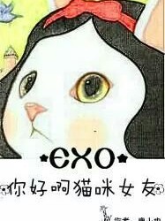 EXO:你好啊，猫咪女友_d901