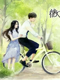 微微一笑很倾城微笑婚后生活