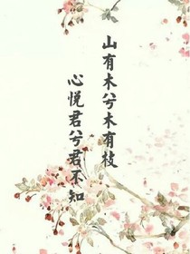图片放映机