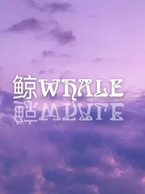 鲸WHALE