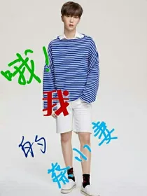 哦！我的蔡小妻