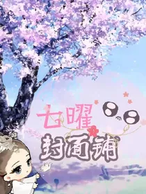 七曜封面铺
