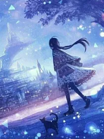 神奇宝贝之少女的旅程