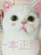 婚烟