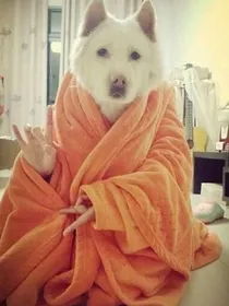 传说二班很霸气？呵，是风骚！