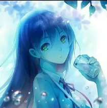 婚婚离婚