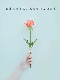 愿你喜的情话