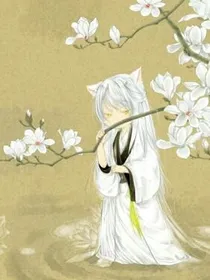 tf之穿越爱恋