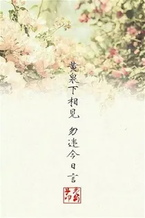 凉情薄物