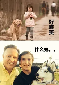 逗比一家的日常