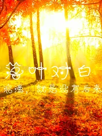 落叶对白
