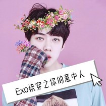 Exo快穿之你的意中人是我