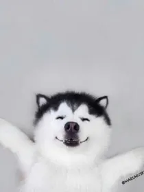 开心二刻