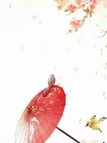 辰上落宇
