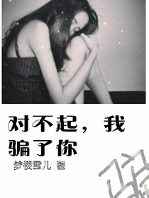 对不起，我骗了你