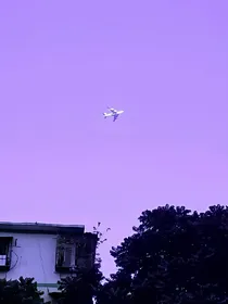 夏日烬