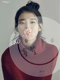 EXO：妄笙