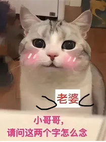 倾城大小姐：娘子不好惹