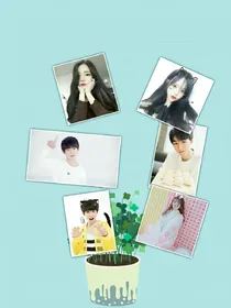 TFBOYS之我的校园恋爱
