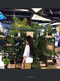 不良网红