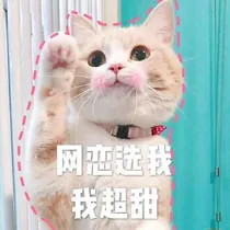 麻瓜星星