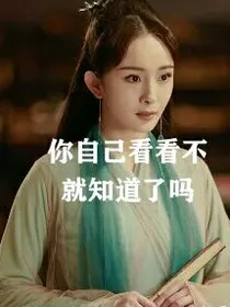 詹王宠妃进行记