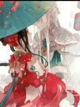 王的毒妃
