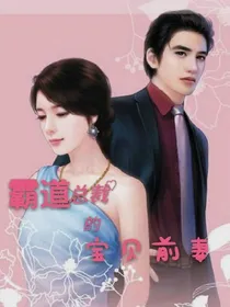 霸道总裁的宝贝前妻