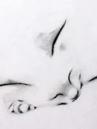 亦秋的故事