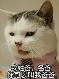 我的爸爸很帅