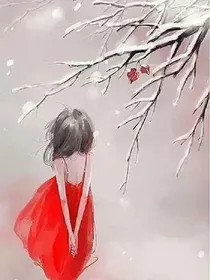 盛夏留影