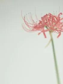 等等，别走，爱我