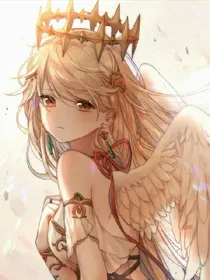 圣羽星辉