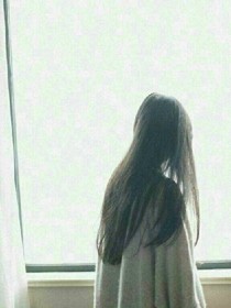 樱花飞