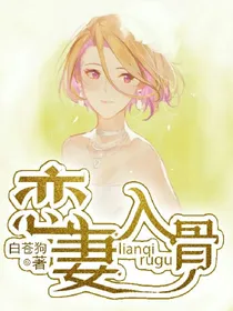恋妻入骨