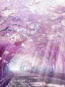 樱花许下的约定