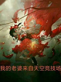 我的老婆来自天空竞技场