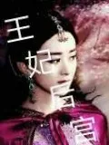 王妃后宫传