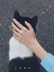 阿里路亚
