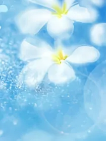 灵之空间——水琛晶