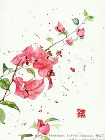 水月传