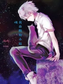 我的阴阳小猫咪