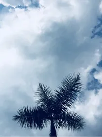 推荐一些好看的小说