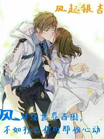 风起银杏