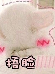 我们之间的小日常