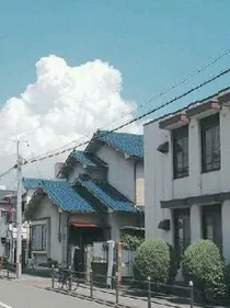 书写的世界