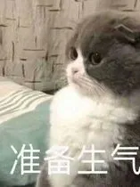 exo:索里卡