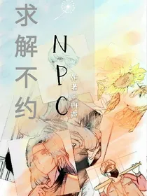 NPC求解不约