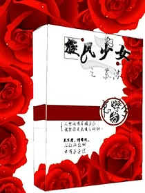 旋风少女2之苏沐凉