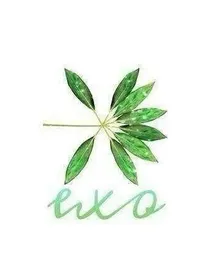 EXO：我们的星际女神